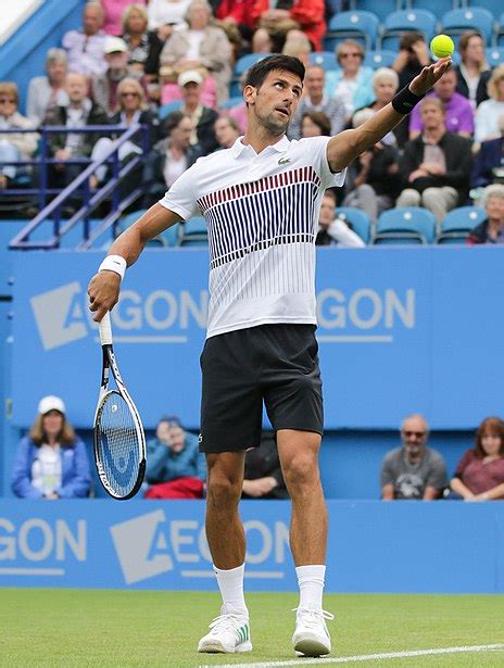 djokovic–nadal rivalry|Djokovic–Nadal rivalry .